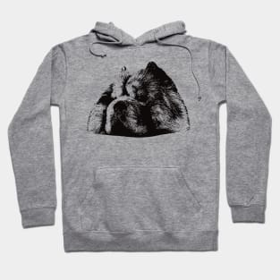 Chow-Chow gift for Chow-Chow Owners Hoodie